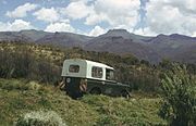 Koitobos and the moorland above The Mount Elgon National Park