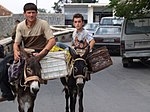 Kruja Albánia - Donkeys.jpg