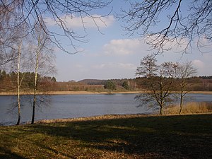 Lähnwitzsee.JPG