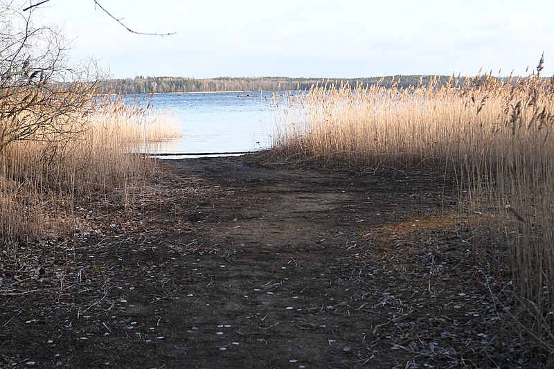 File:Lågvatten, sjön Åsnen, 2019-01-01.jpg