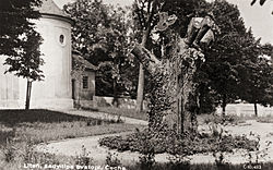 Lípa Svatopluka Čecha, Liteň kolem roku 1940