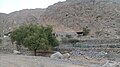 Village de Lahsa. Sur les rives du Ouadi Jib, affluent du Ouadi Shah depuis sa confluence avec le Ouadi Arus