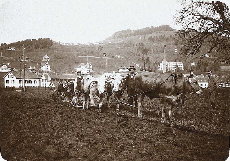 File:Landwirtschaft Bleiche.jpg