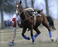 State Sport of Argentina