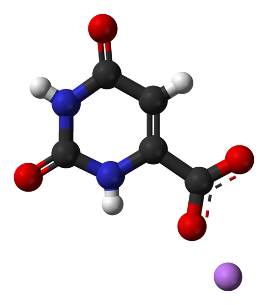 File:Lithium-orotate-from-xtal-3D-balls.png