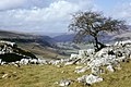 Littondale (North Yorkshire). View from near the Hawkswick to Malham footpath.