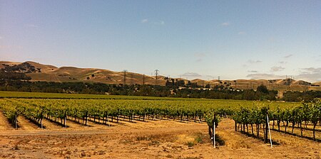 Livermore AVA vineyard