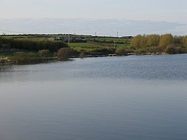 Llyn Alaw - geograph.org.uk - 170617.jpg