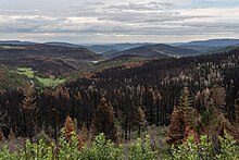 The view looking south from NM518 towards the burn scar from the Calf Canyon/Hermits Peak Fire Looking south from NM518 towards burn scars from the Calf Canyon-Hermits Peak Fire.jpg