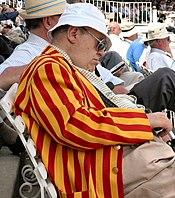 red and yellow striped tie cricket