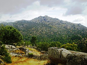 Vertiente occidental de la Machota Baja (1410 m).