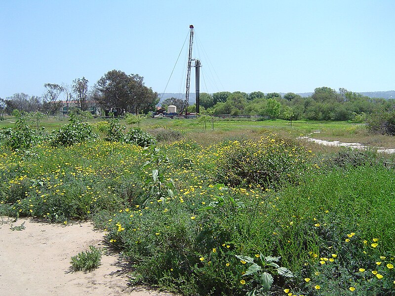 File:Madrona Marsh2.jpg