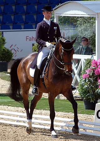 <span class="mw-page-title-main">Benjamin Werndl</span> German equestrian (born 1984)
