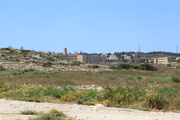 Garrigue with Pembroke in the distance