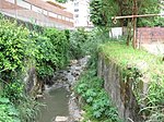 Maracanã River (Rio de Janeiro)