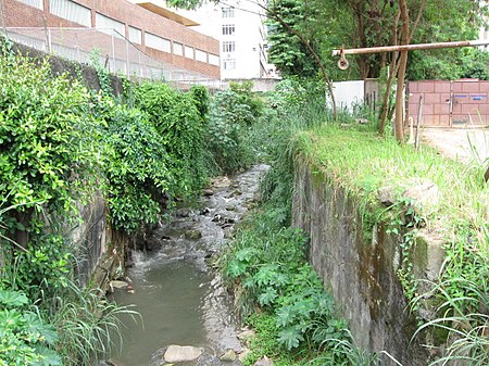 Maracanario