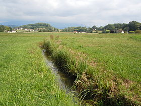 Illustrasjonsbilde av artikkelen Marais des Chaudannes