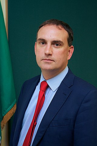 <span class="mw-page-title-main">Marc MacSharry</span> Irish politician (born 1973)