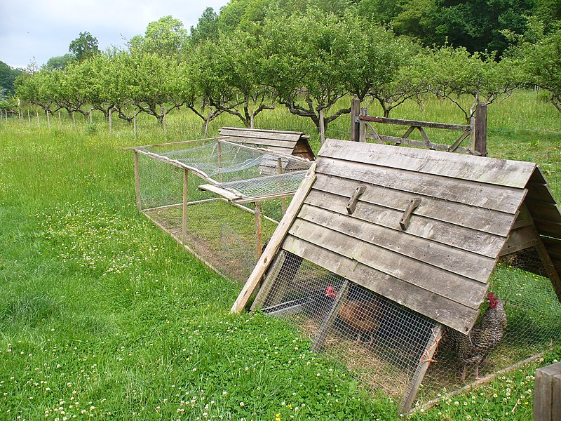 File:Market Gardening by Hoggatts - geograph.org.uk - 1913586.jpg