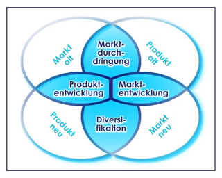 Die Produkt-Markt-Matrix ist e