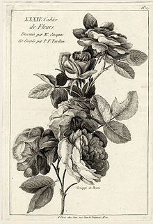 Maurice Jacques Grouppe de Roses ubs G 0896 II.jpg