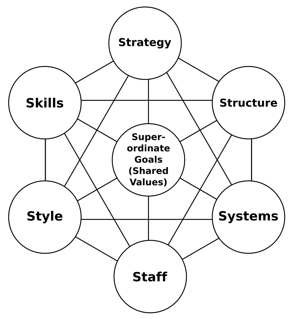 Organizational analysis
