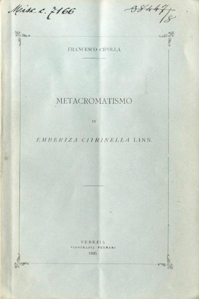 File:Metacromatismo di Emberiza Citrinella Linn.djvu