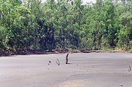 Dégradation de la forêt tropicale due à la mine de charbon de Siderópolis (Brésil).