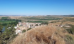 Skyline of Miranda de Arga