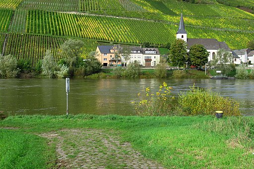 Mosel-km139-Wintrich-Am Kestener Weg-Fähranleger (4)