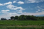 Thumbnail for Mountain Lake Township, Cottonwood County, Minnesota