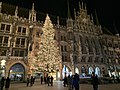 Munich Dec 2020 17 00 57 394000.jpeg