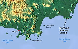 <span class="mw-page-title-main">Nanwan Monkey Island</span> Island off the coast of China