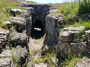 Necropolis of Carenque