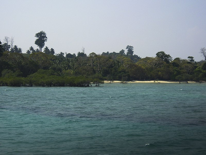 File:Neil Island Andaman Islands.jpg