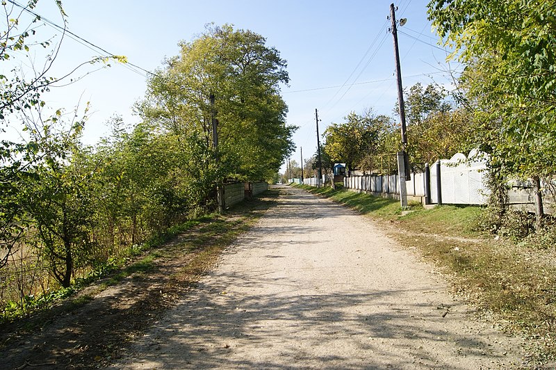 File:Nesvoya, Chernivets'ka oblast, Ukraine, 60361 - panoramio (3).jpg