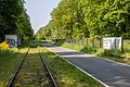 * Nomeação RadBahn Münsterland and track at the former “St. Arnold” station, Neuenkirchen, North Rhine-Westphalia, Germany --XRay 03:01, 5 June 2024 (UTC) * Promoção  Support Good quality. --Johann Jaritz 03:44, 5 June 2024 (UTC)