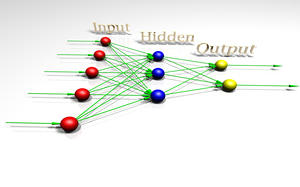 Quantum Neural Network