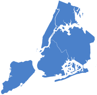 <span class="mw-page-title-main">1929 New York City Comptroller election</span> Comptroller election in New York City