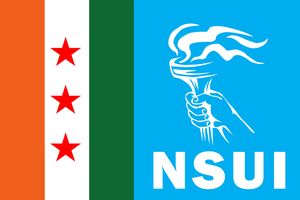 Nsui flag new.png