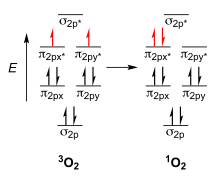 The triplet (ground) and singlet states of molecular oxygen. O2 states.svg