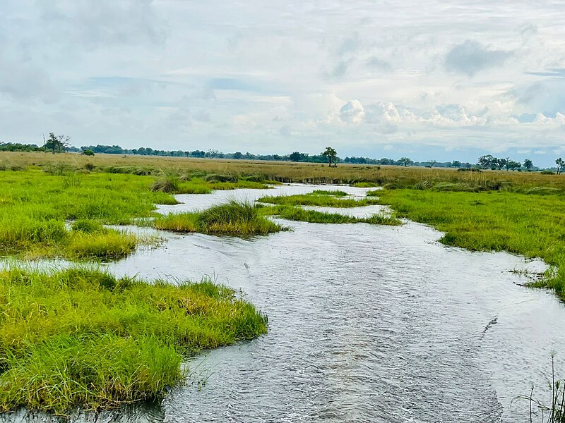 File:Okavango, Botswana 02.jpg