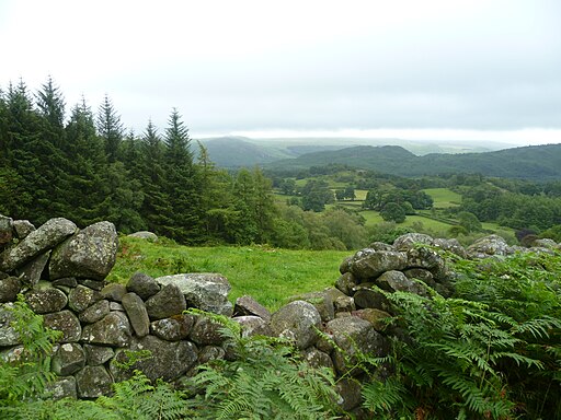 On Irton Pike - geograph.org.uk - 2509039