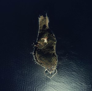 Aerial photo, 1981