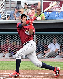 Oscar Gonzalez minor league baseball statistics on