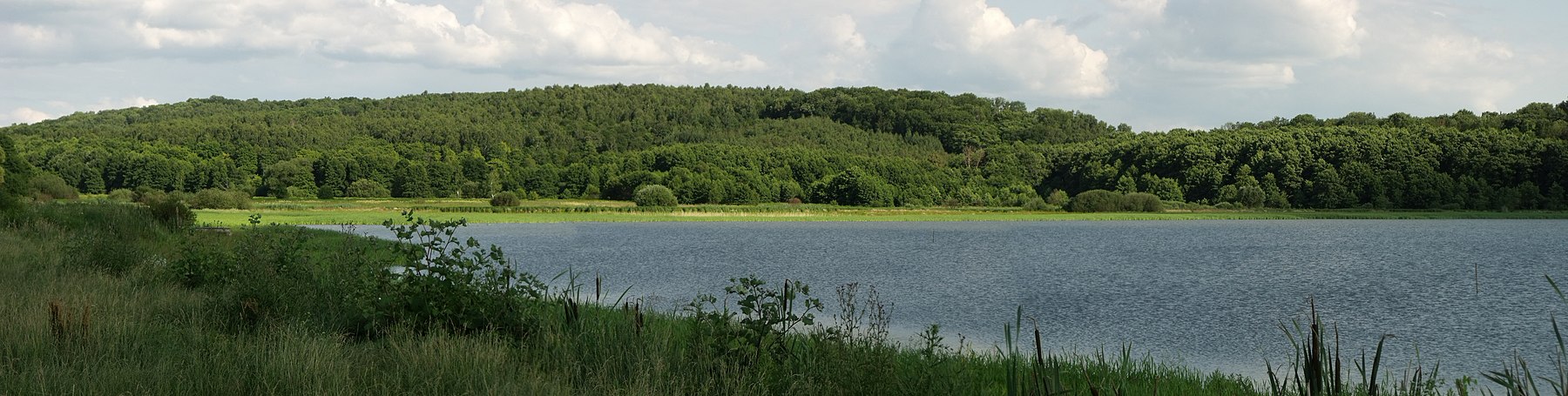 Ostroz'kyi rajonas, Rivnenska sritis, Ukraina - Panoramio.jpg