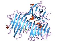 PDB 1ogo EBI.jpg