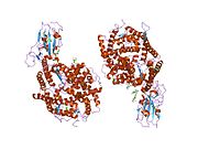 2ajf: SARS冠状病毒刺突受体结合域与其受体复合之结构