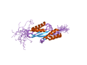 2dax: ساختار دامنه RWD پروتئین انسانی C21orf6