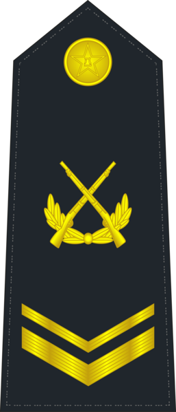 File:PLANF-0705-SSG.png